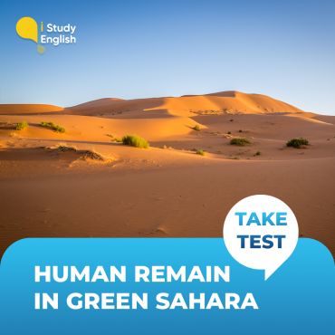 Human remain in green sahara