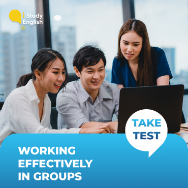 Working effectively in groups